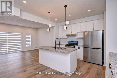 54 Pondcliffe Drive, Kitchener, ON - Indoor Photo Showing Kitchen With Double Sink With Upgraded Kitchen