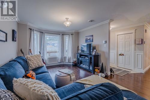 172 Ladysmith Drive, St. John'S, NL - Indoor Photo Showing Living Room