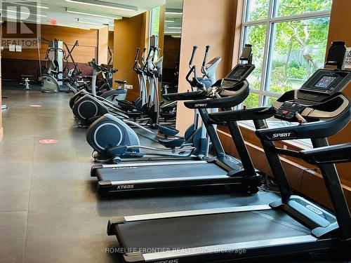 203 - 2015 Sheppard Avenue E, Toronto, ON - Indoor Photo Showing Gym Room