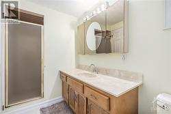 3 Piece Bathroom on Lower Level is common to both the suite and the recroom - 