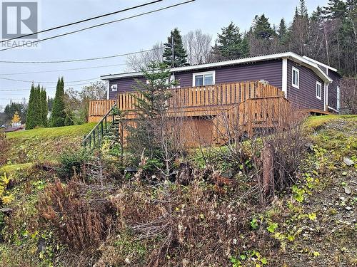 53 Serpentine Road, Mount Moriah, NL - Outdoor With Deck Patio Veranda