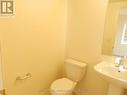 3964 Thomas Alton Boulevard, Burlington, ON  - Indoor Photo Showing Bathroom 