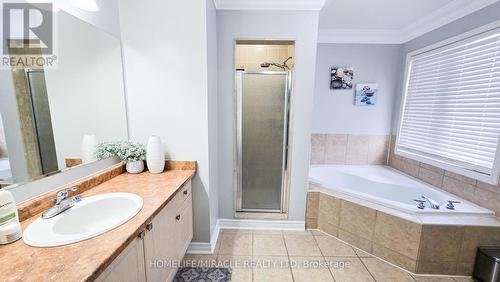 19 Fidelity Avenue W, Brampton, ON - Indoor Photo Showing Bathroom