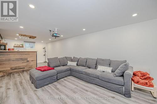 115 Lynbrook Drive, Hamilton, ON - Indoor Photo Showing Living Room