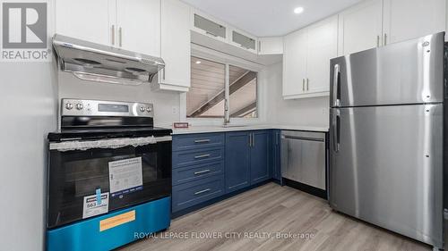 212 Carter Avenue, Waterloo, ON - Indoor Photo Showing Kitchen With Stainless Steel Kitchen