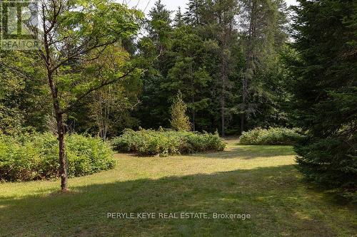 1098 Lawrence Pit Road, Muskoka Lakes, ON - Outdoor With View