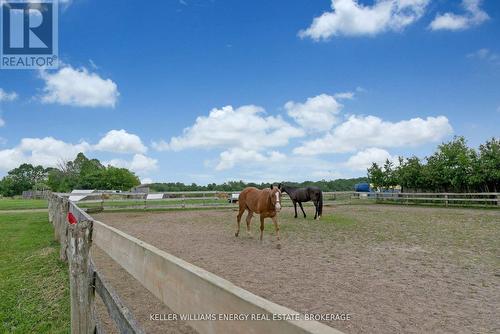 188 Valentia Road, Kawartha Lakes (Little Britain), ON - Outdoor With View