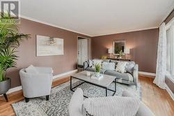 Living room with crown molding and light hardwood / wood-style flooring - 