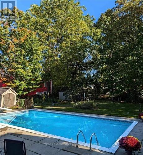 245 Trafalgar Road, Pembroke, ON - Outdoor With In Ground Pool With Backyard