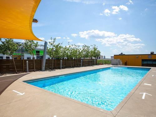 Piscine - 125-111 Ch. De La Pointe-Nord, Montréal (Verdun/Île-Des-Soeurs), QC - Outdoor With In Ground Pool With Backyard