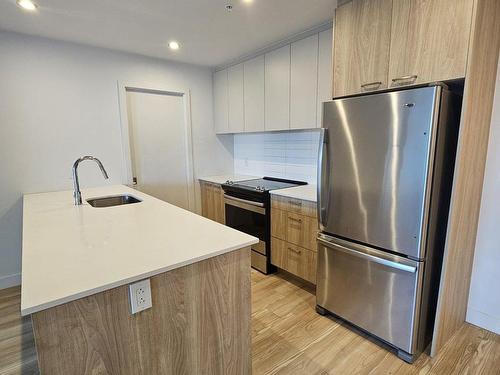 Kitchen - 1020-7001 Rue Prudent-Beaudry, Mascouche, QC - Indoor Photo Showing Kitchen With Upgraded Kitchen