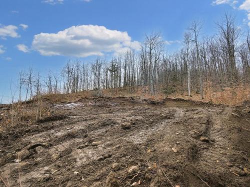 Terre/Terrain - 106 Ch. Du Verdier, Val-Des-Monts, QC 