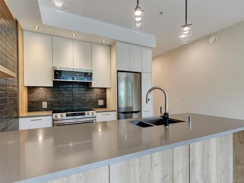 101-1588 North Dairy Rd, Saanich, BC - Indoor Photo Showing Kitchen With Stainless Steel Kitchen With Double Sink With Upgraded Kitchen