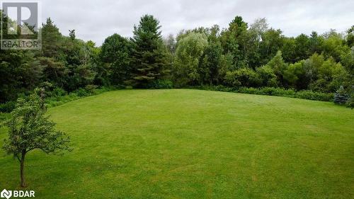 View of yard - 264 Salem Road, Barrie, ON 