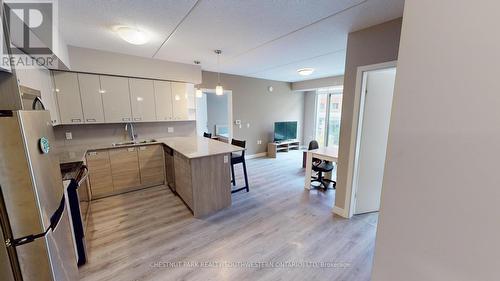 215 - 308 Lester Street, Waterloo, ON - Indoor Photo Showing Kitchen