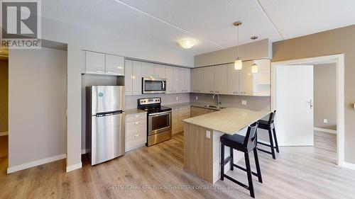 215 - 308 Lester Street, Waterloo, ON - Indoor Photo Showing Kitchen