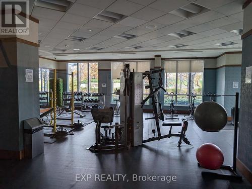 1306 - 15 Viking Lane, Toronto, ON - Indoor Photo Showing Gym Room