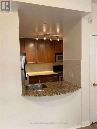 12 - 78 Carr Street, Toronto, ON - Indoor Photo Showing Kitchen With Double Sink