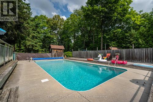 1340 County Road 4 Road, Douro-Dummer, ON - Outdoor With In Ground Pool With Backyard