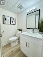 Lower level bathroom, shower in basement - 