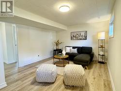 Lower level rec/living room - 