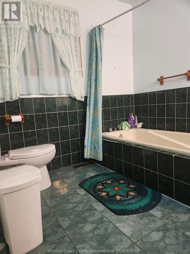 1935 Fox Run Road, Leamington, ON - Indoor Photo Showing Bathroom