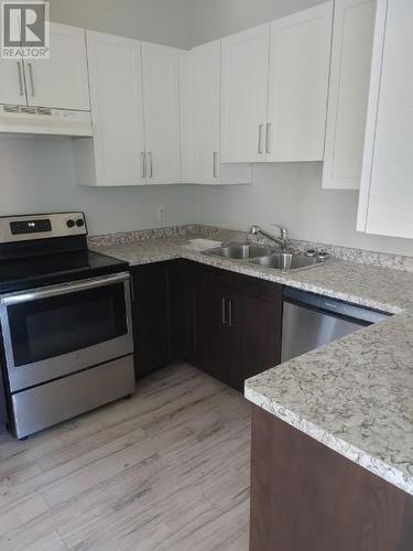 5 Maclachlan Street, Sudbury, ON - Indoor Photo Showing Kitchen With Double Sink