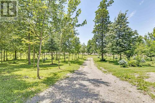 32420 Silver Clay Line, Dutton/Dunwich, ON 