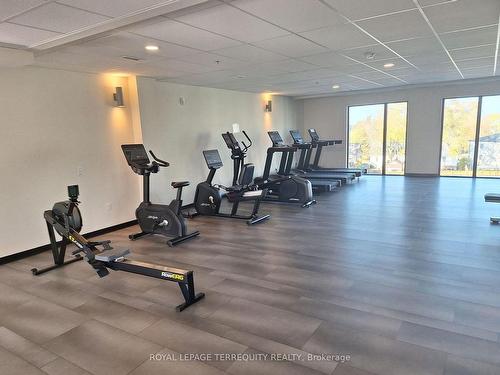 Lp 15-50 Herrick Ave, St. Catharines, ON - Indoor Photo Showing Gym Room