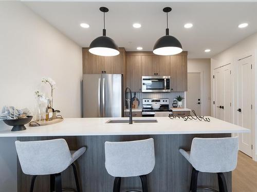 202-201 Dogwood Dr, Ladysmith, BC - Indoor Photo Showing Kitchen With Upgraded Kitchen