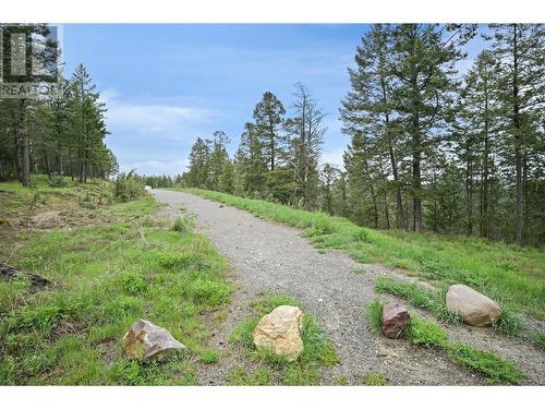 1926 Pineridge Mountain Link, Invermere, BC - Outdoor With View