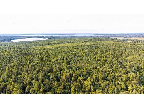 Lot 24-2 Route 102, Gagetown, NB 