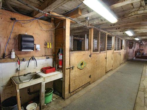 Stable - 130 3E Rang O., New Richmond, QC - Indoor Photo Showing Basement