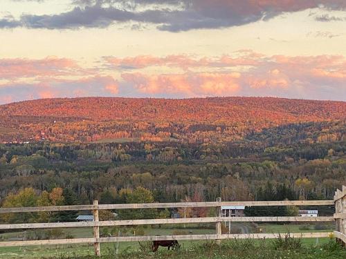 View - 130 3E Rang O., New Richmond, QC - Outdoor With View