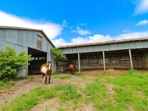 Stable - 130Z 3E Rang O., New Richmond, QC 