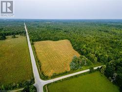 View of 100 acre farm looking West from Corner. - 