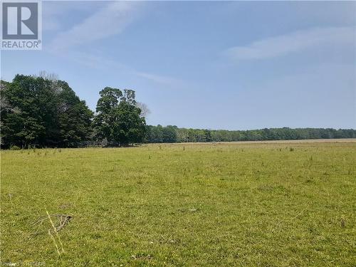 Looking East from Crane Lake Road on 200 acres farm pasture. - Lot 36, 36-37 Conc 6-7, Northern Bruce Peninsula, ON 