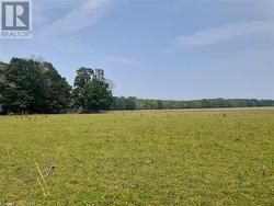 Looking East from Crane Lake Road on 200 acres farm pasture. - 