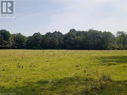 North West field of 200 acre farm from Crane Lake Road. - 