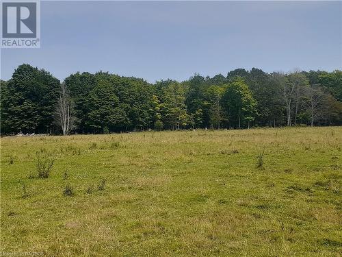 North West field of 200 acre farm viewing from Crane Lake Road. - Lot 36, 36-37 Conc 6-7, Northern Bruce Peninsula, ON 