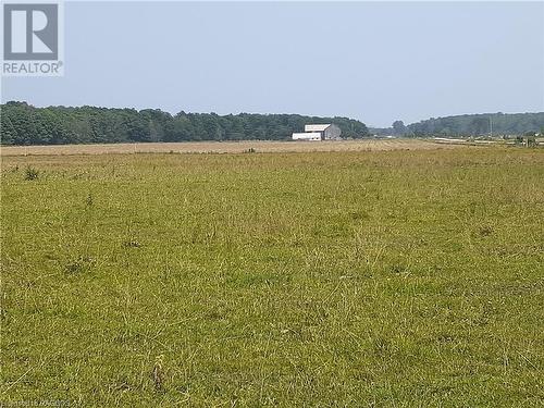 Large pasture field with view of buildings on 200 acre farm. - Lot 36, 36-37 Conc 6-7, Northern Bruce Peninsula, ON 