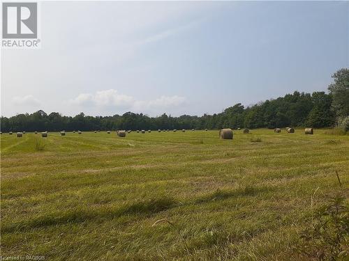 View from Crane Lake Road West on the 100 acre farm. - Lot 36, 36-37 Conc 6-7, Northern Bruce Peninsula, ON 