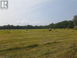 View from Crane Lake Road West on the 100 acre farm. - 