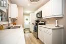 53 Broadview Dr, Sault Ste. Marie, ON  - Indoor Photo Showing Kitchen With Double Sink 