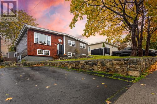 11 Pleasantville Avenue, St. John'S, NL - Outdoor