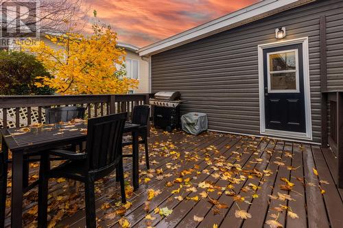 11 Pleasantville Avenue, St. John'S, NL - Outdoor With Exterior