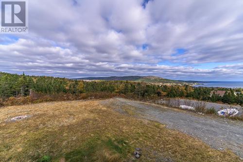 64 Solomon Close, Bay Bulls, NL - Outdoor With View