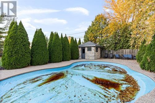 355 Jolly Avenue, Lasalle, ON - Outdoor With In Ground Pool