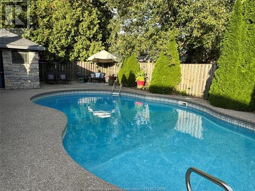 355 Jolly Avenue, Lasalle, ON - Outdoor With In Ground Pool With Backyard