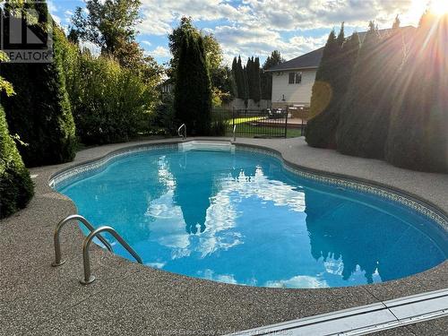 355 Jolly Avenue, Lasalle, ON - Outdoor With In Ground Pool With Backyard